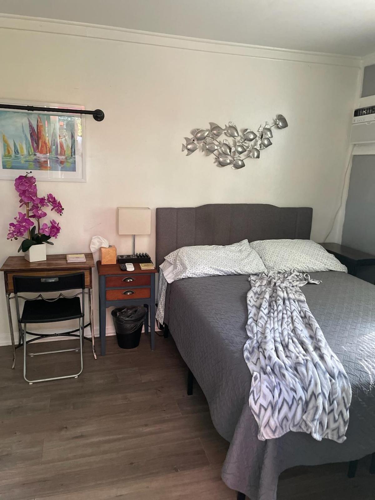 טאמפה Lovely Studio Apartment With Kitchenette. מראה חיצוני תמונה